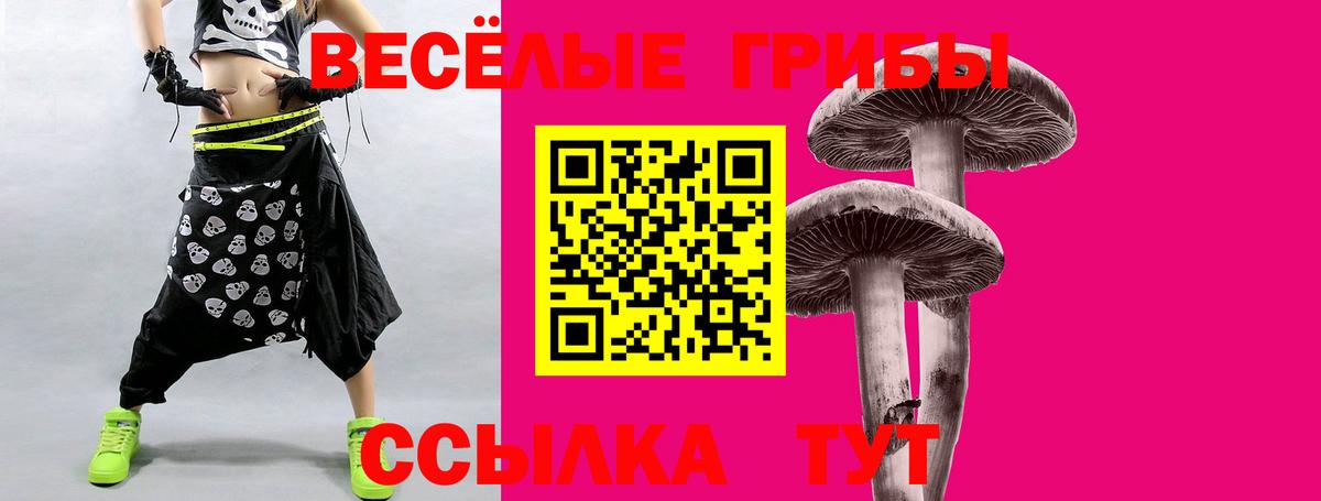 Кириши  Галлюциногенные грибы MAGIC MUSHROOMS  Вход с VPN  Псилоцибиновые грибы мицелий 